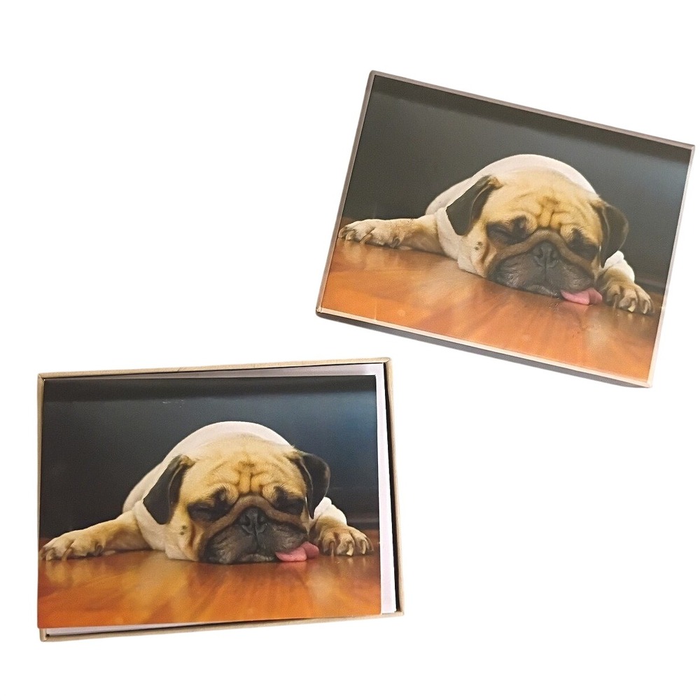 Crown Point Graphics Sleeping Pug Puppy Boxed Note Cards Set with Envelopes NEW